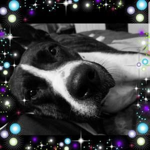 Meet your Posher, Jade